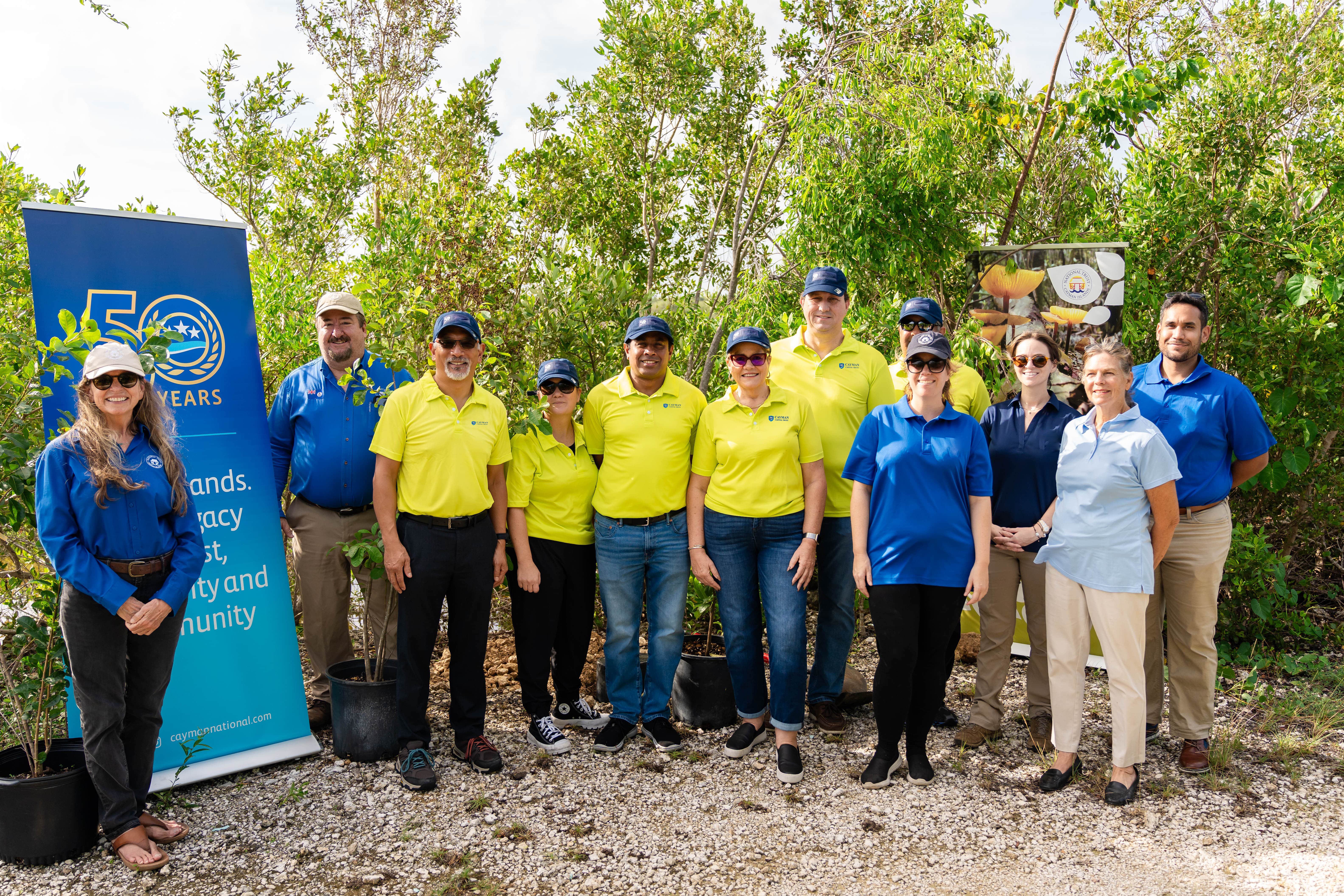 CNB donates 50 trees